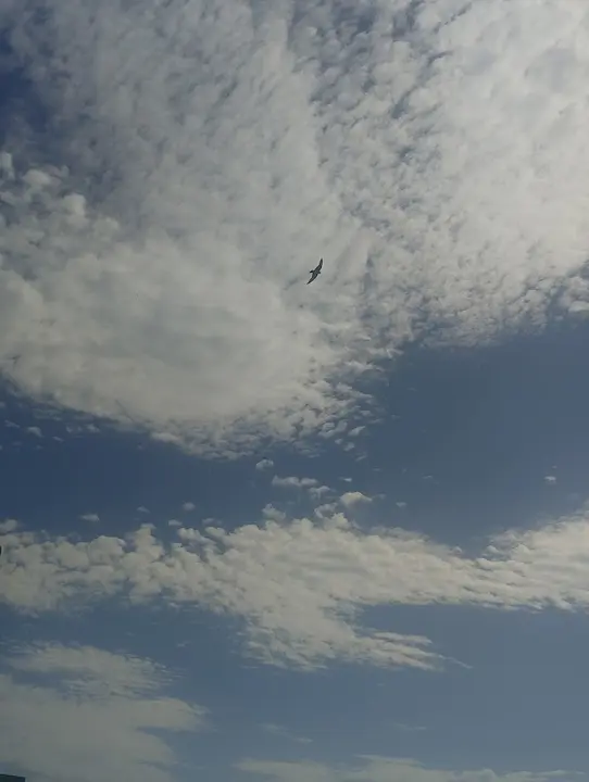 Flying Solo, Freedom is always lonely