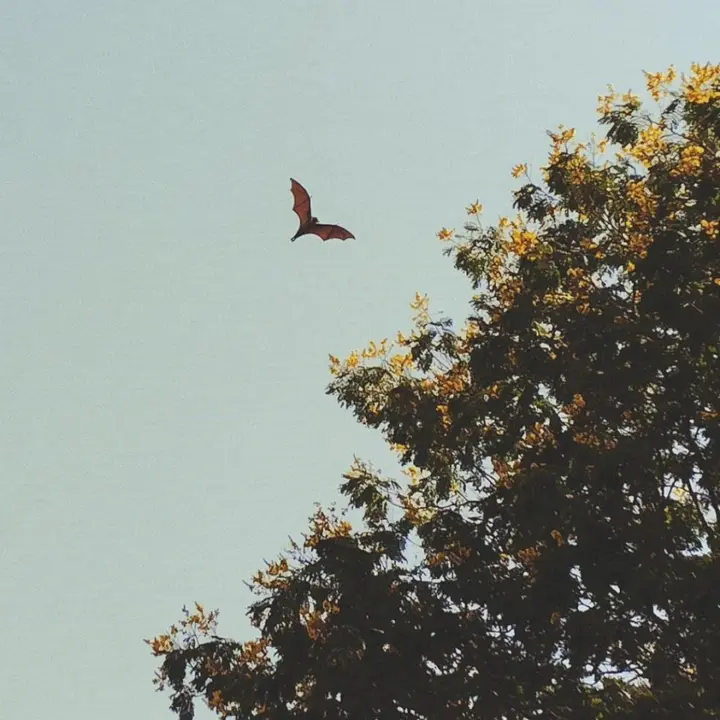 Photograph by Devgna Vyas